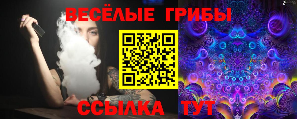 Пушкино  купить наркотики цена  Вход с VPN  Псилоцибиновые грибы MAGIC MUSHROOMS  Галлюциногенные грибы прущие грибы 